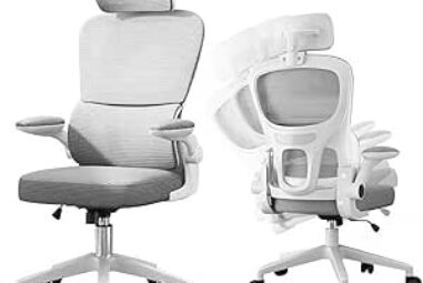 Ergalithic Ergonomic Office Chair Review — The Back-Support Chair Built for Long WFH Days
